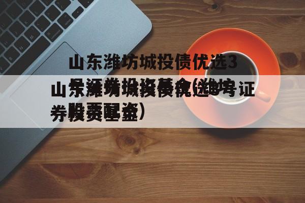 山东潍坊城投债优选3号证券投资基金(潍坊股票配资)