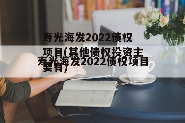 寿光海发2022债权项目(其他债权投资主要有)