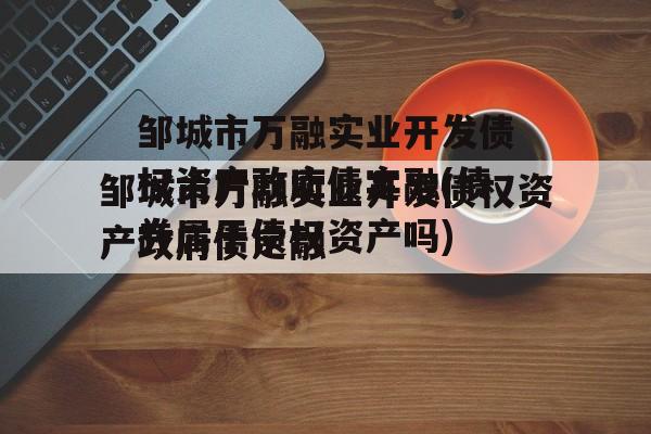 邹城市万融实业开发债权资产政府债定融(债券属于债权资产吗)