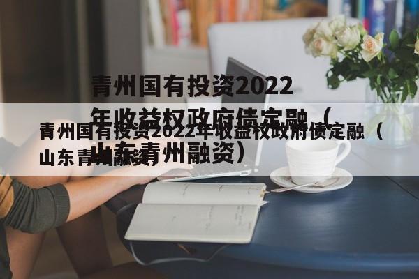 青州国有投资2022年收益权政府债定融（山东青州融资）