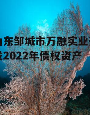 山东邹城市万融实业开发2022年债权资产