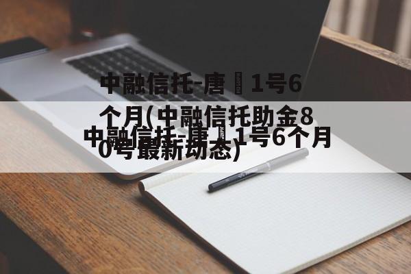 中融信托-唐昇1号6个月(中融信托助金80号最新动态)