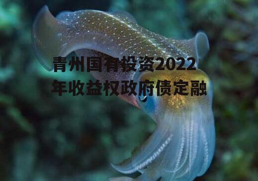 青州国有投资2022年收益权政府债定融