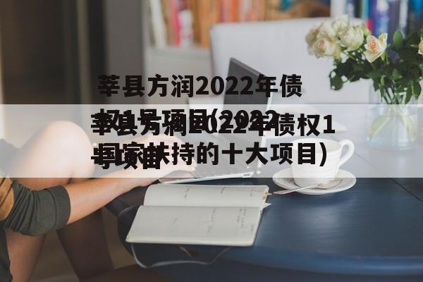 莘县方润2022年债权1号项目(2022国家扶持的十大项目)