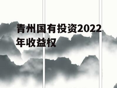 青州国有投资2022年收益权