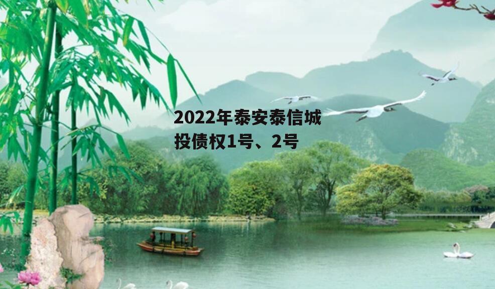 2022年泰安泰信城投债权1号、2号