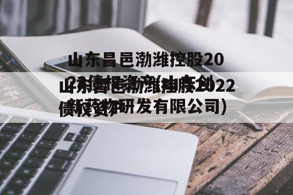 山东昌邑渤潍控股2022债权资产(山东创新药物研发有限公司)