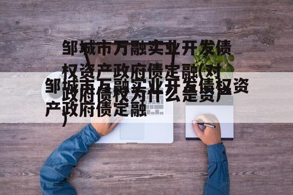 邹城市万融实业开发债权资产政府债定融(对政府债权为什么是资产)