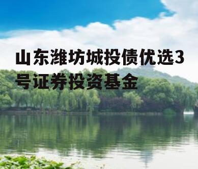 山东潍坊城投债优选3号证券投资基金