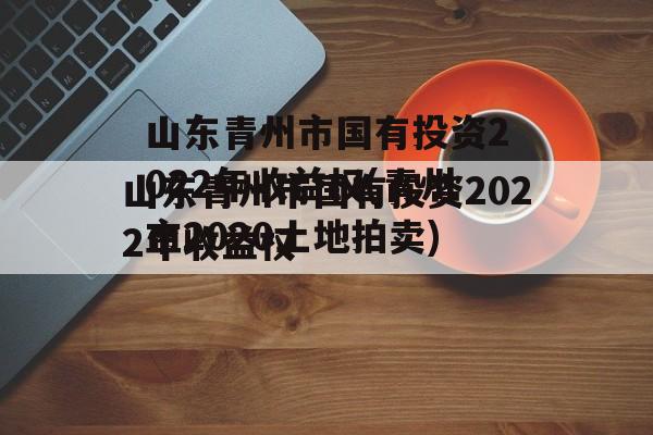 山东青州市国有投资2022年收益权(青州市2020土地拍卖)