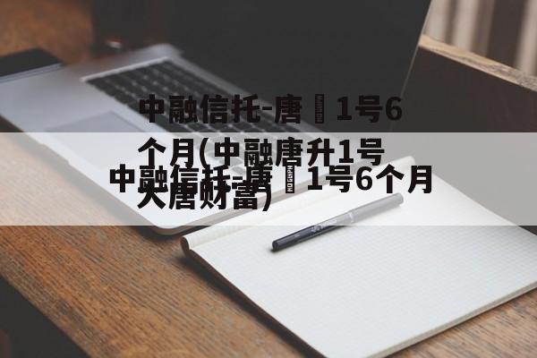 中融信托-唐昇1号6个月(中融唐升1号 大唐财富)