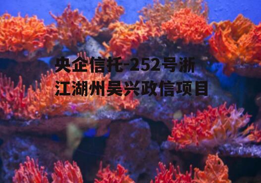 央企信托-252号浙江湖州吴兴政信项目