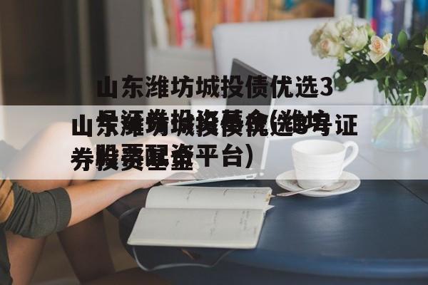 山东潍坊城投债优选3号证券投资基金(潍坊股票配资平台)