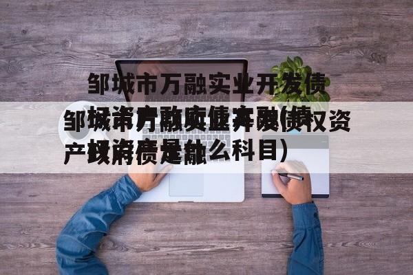 邹城市万融实业开发债权资产政府债定融(债权资产是什么科目)