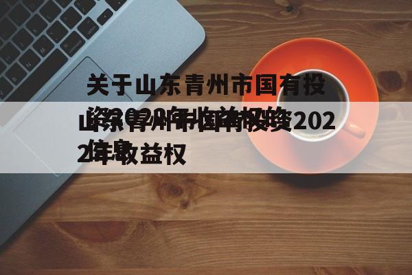 关于山东青州市国有投资2022年收益权的信息