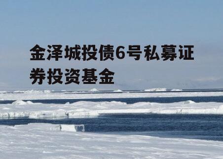 金泽城投债6号私募证券投资基金