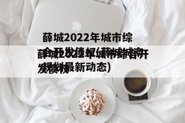 薛城2022年城市综合开发债权(薛城城南规划最新动态)