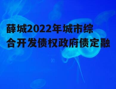 薛城2022年城市综合开发债权政府债定融