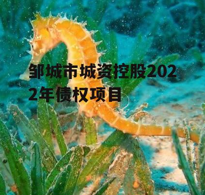 邹城市城资控股2022年债权项目