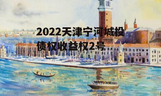 2022天津宁河城投债权收益权2号