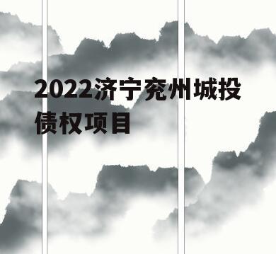 2022济宁兖州城投债权项目