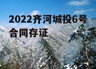 2022齐河城投6号合同存证