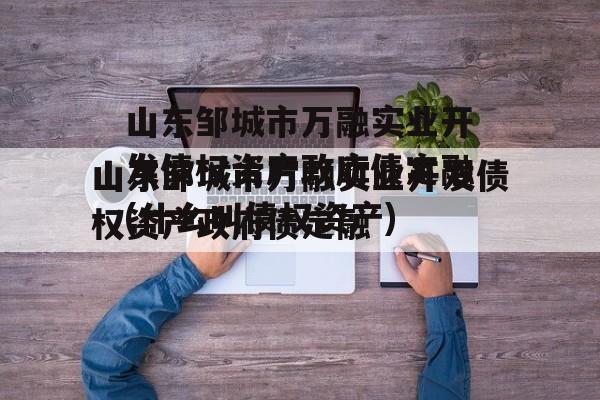 山东邹城市万融实业开发债权资产政府债定融(什么叫债权资产)