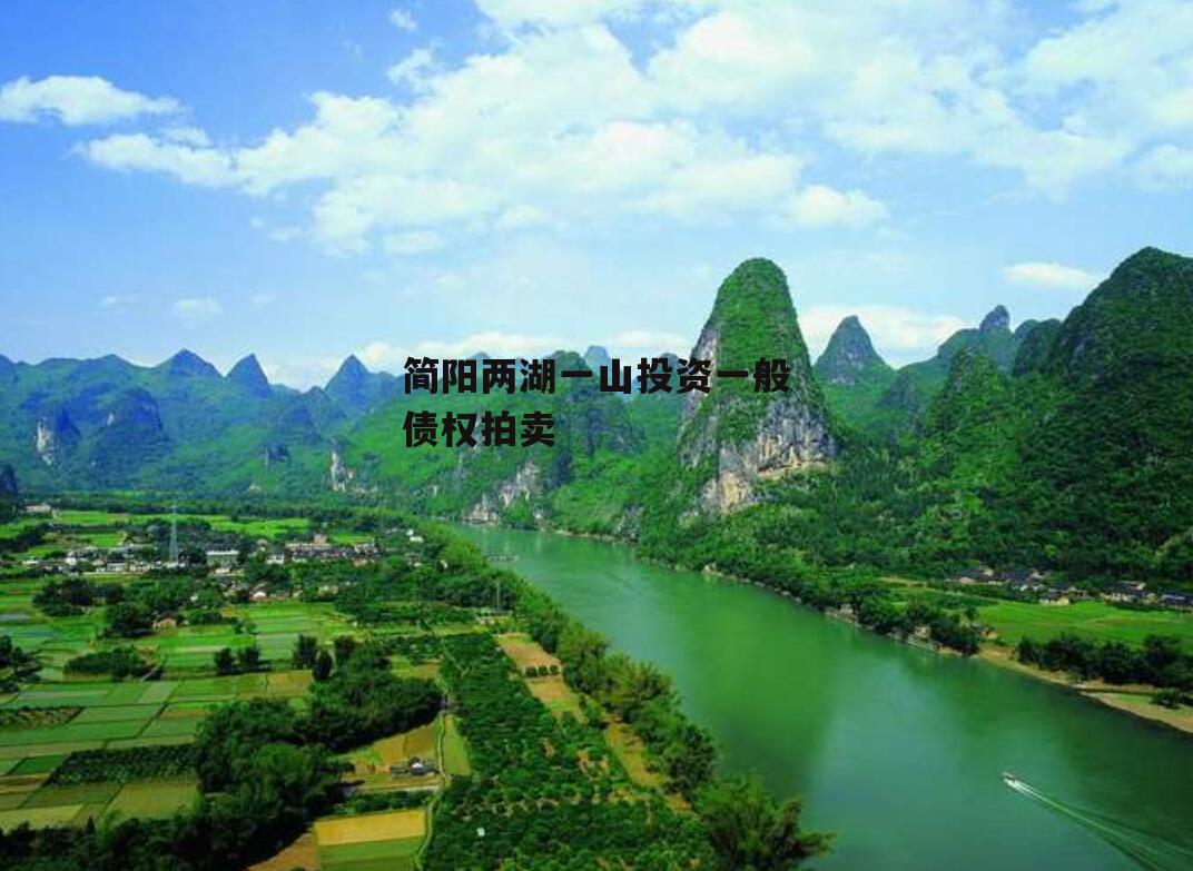 简阳两湖一山投资一般债权拍卖