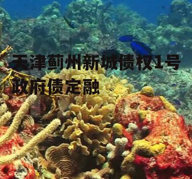 天津蓟州新城债权1号政府债定融