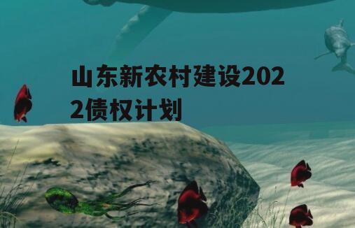 山东新农村建设2022债权计划