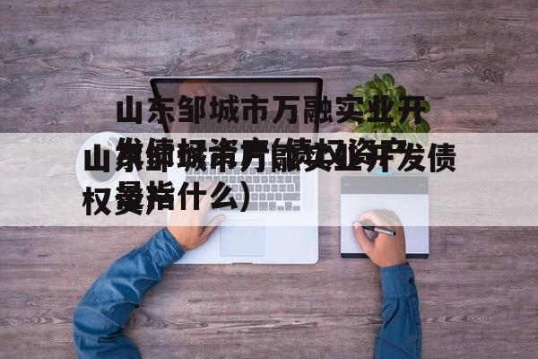 山东邹城市万融实业开发债权资产(债权资产是指什么)