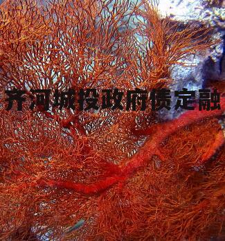 齐河城投政府债定融