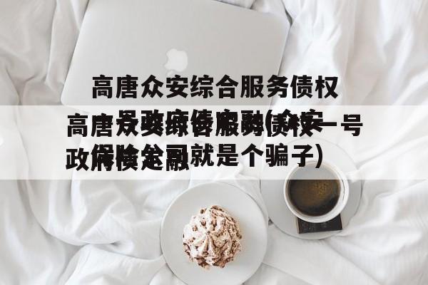 高唐众安综合服务债权一号政府债定融(众安保险公司就是个骗子)