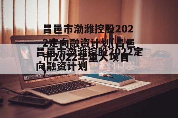 昌邑市渤潍控股2022定向融资计划(昌邑市2022年重大项目)