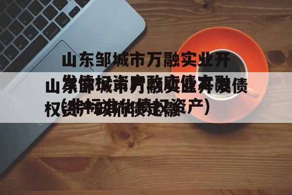 山东邹城市万融实业开发债权资产政府债定融(非标准化债权资产)