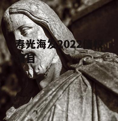 寿光海发2022债权项目