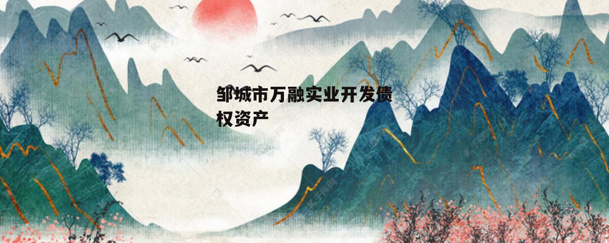 邹城市万融实业开发债权资产