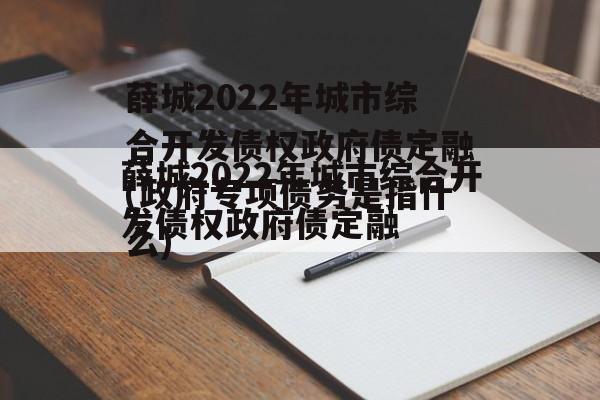 薛城2022年城市综合开发债权政府债定融(政府专项债务是指什么)