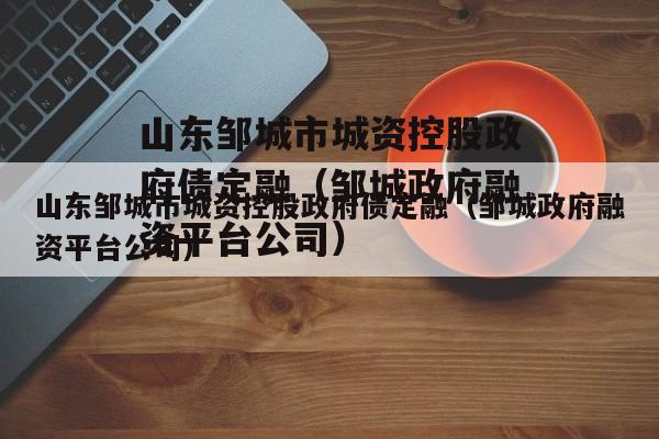山东邹城市城资控股政府债定融（邹城政府融资平台公司）