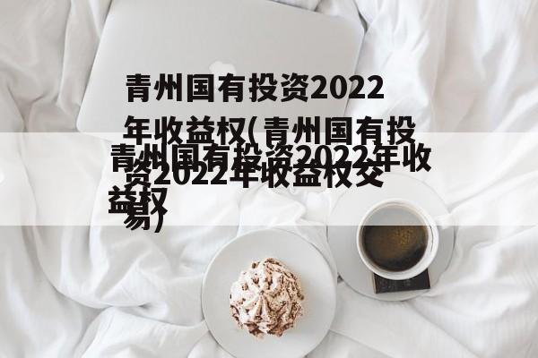 青州国有投资2022年收益权(青州国有投资2022年收益权交易)