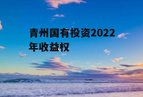 青州国有投资2022年收益权