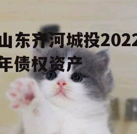 山东齐河城投2022年债权资产