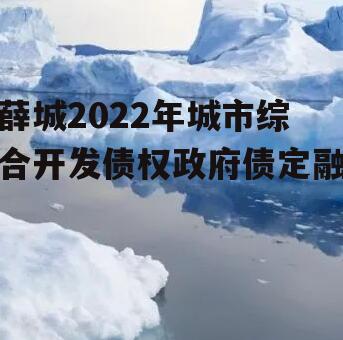 薛城2022年城市综合开发债权政府债定融