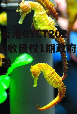 连云港GYCT2022应收债权1期政府债定融