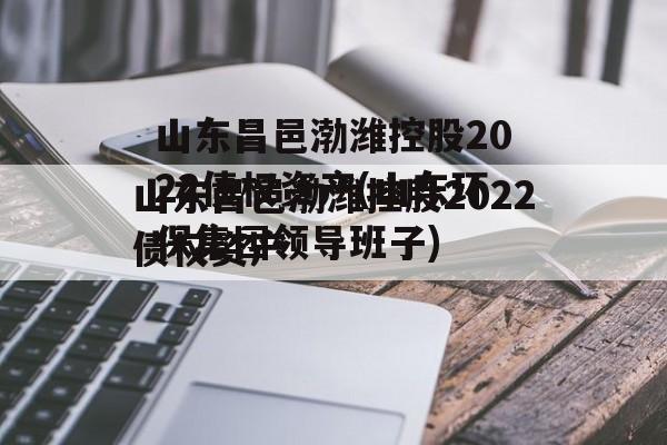 山东昌邑渤潍控股2022债权资产(山东环保集团领导班子)