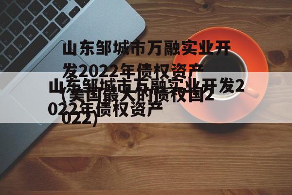 山东邹城市万融实业开发2022年债权资产(美国最大的债权国2022)