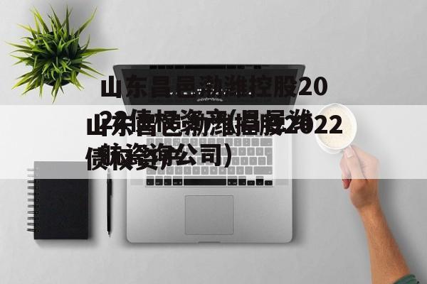 山东昌邑渤潍控股2022债权资产(昌邑潍航瓷询公司)