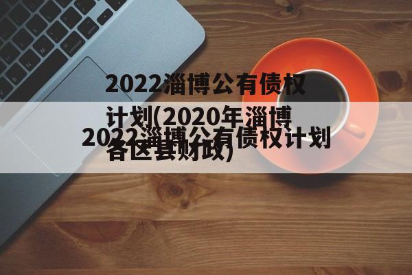 2022淄博公有债权计划(2020年淄博各区县财政)