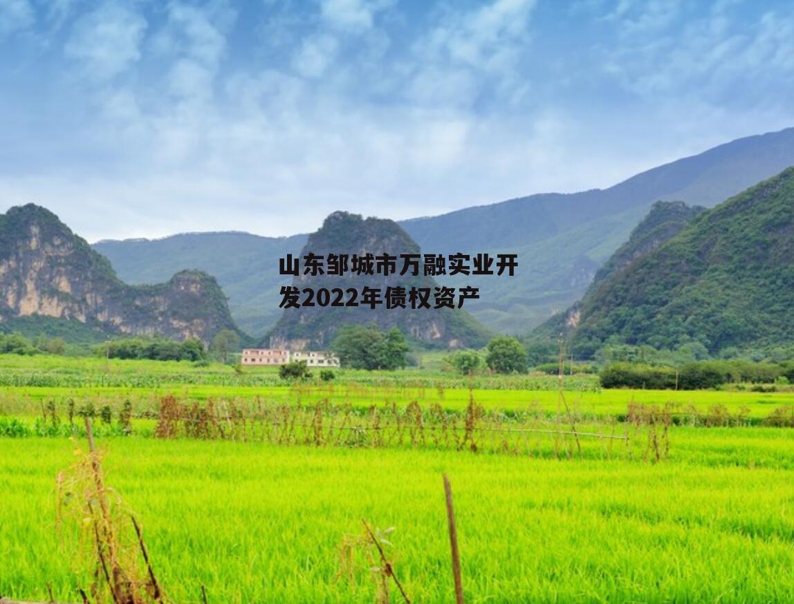 山东邹城市万融实业开发2022年债权资产