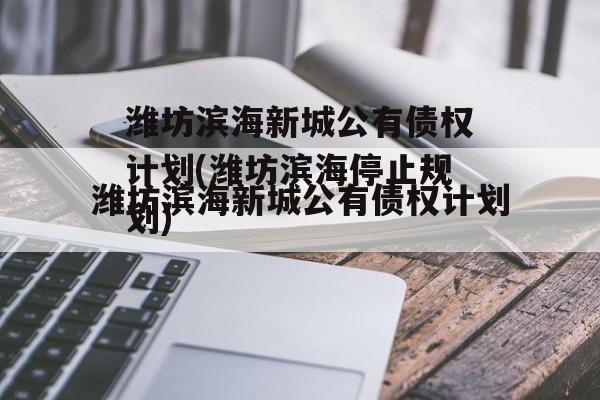 潍坊滨海新城公有债权计划(潍坊滨海停止规划)